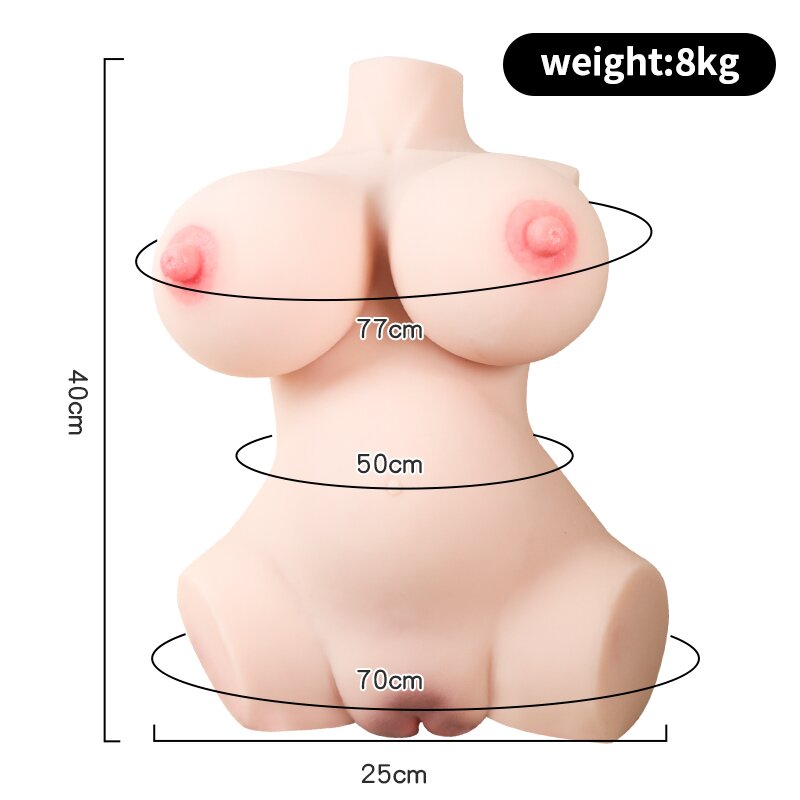Anatomical Wellness Model — Style 527 — view 2