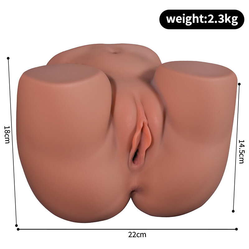 Anatomical Wellness Model — Style 269 — view 3