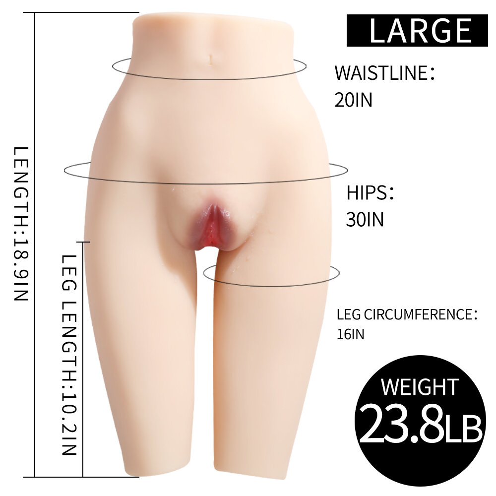 Anatomical Wellness Model — Style 100