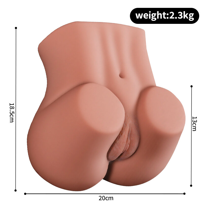 Anatomical Wellness Model — Style 270 — view 3