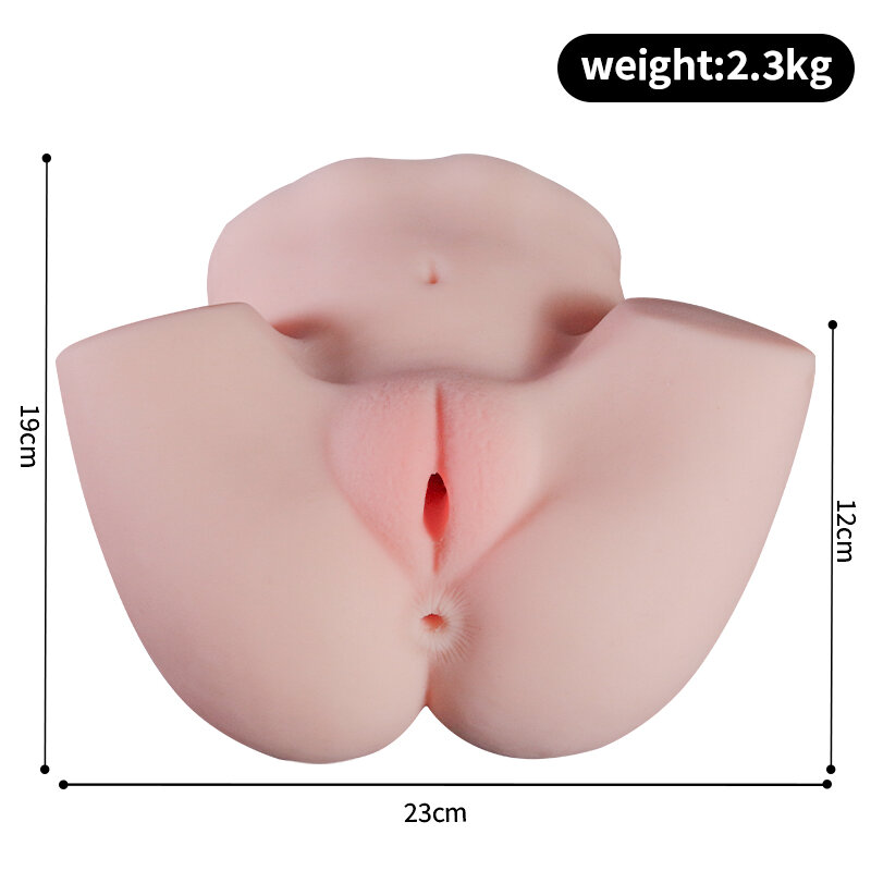 Anatomical Wellness Model — Style 271 — view 2