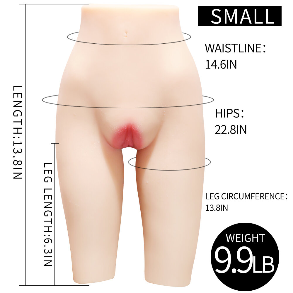 Anatomical Wellness Model — Style 353 (Compact)