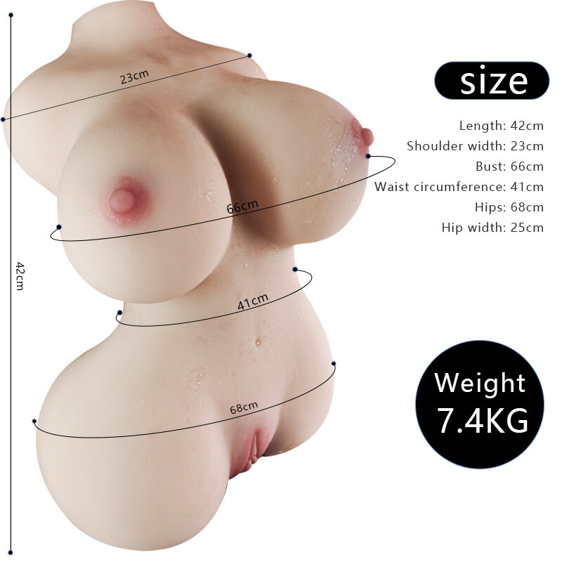Anatomical Wellness Model — Style 87