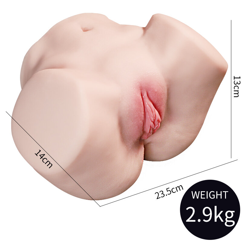 Anatomical Wellness Model — Style 93