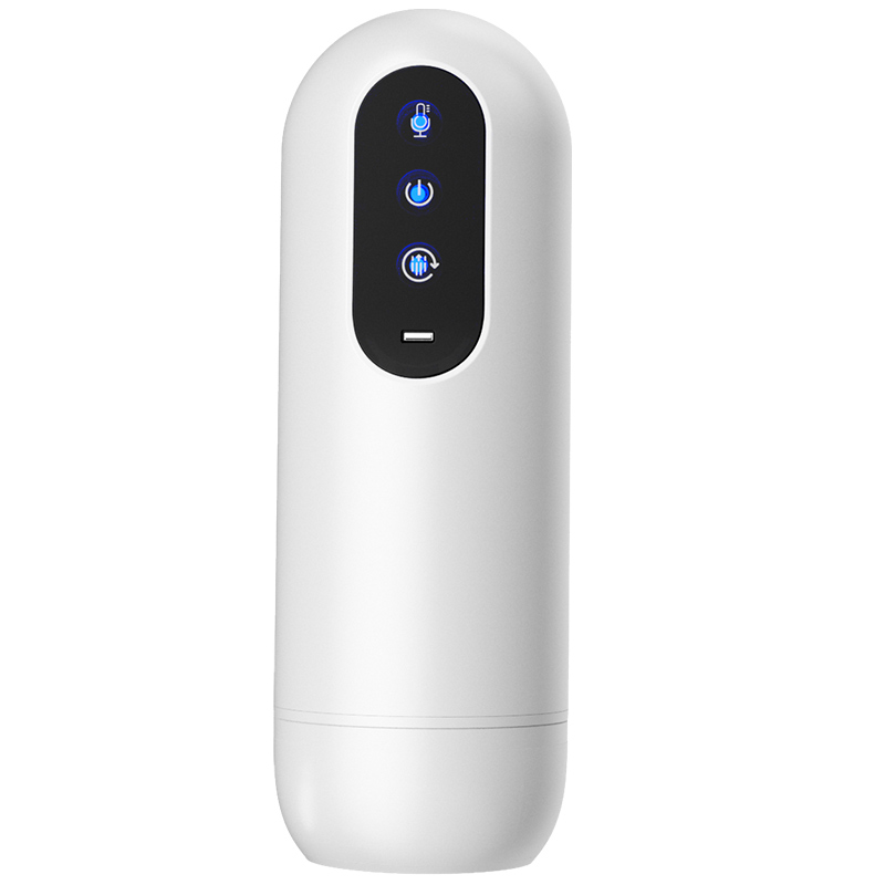 Personal Massager (Male) (Variant 11)