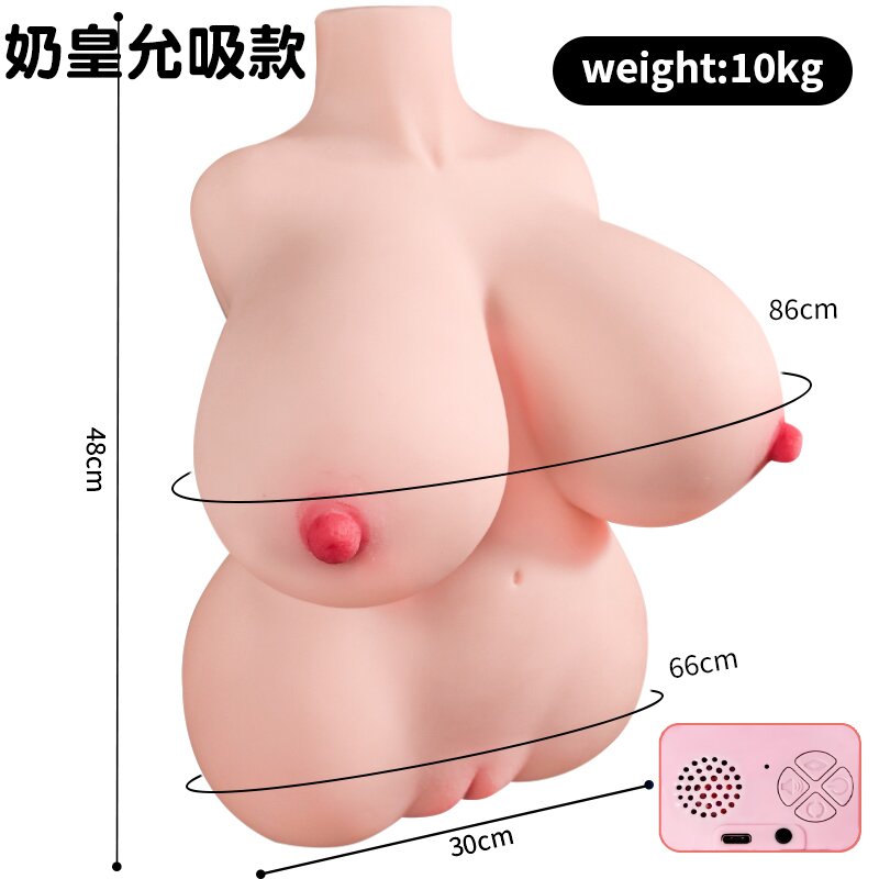 Anatomical Wellness Model — Style 521