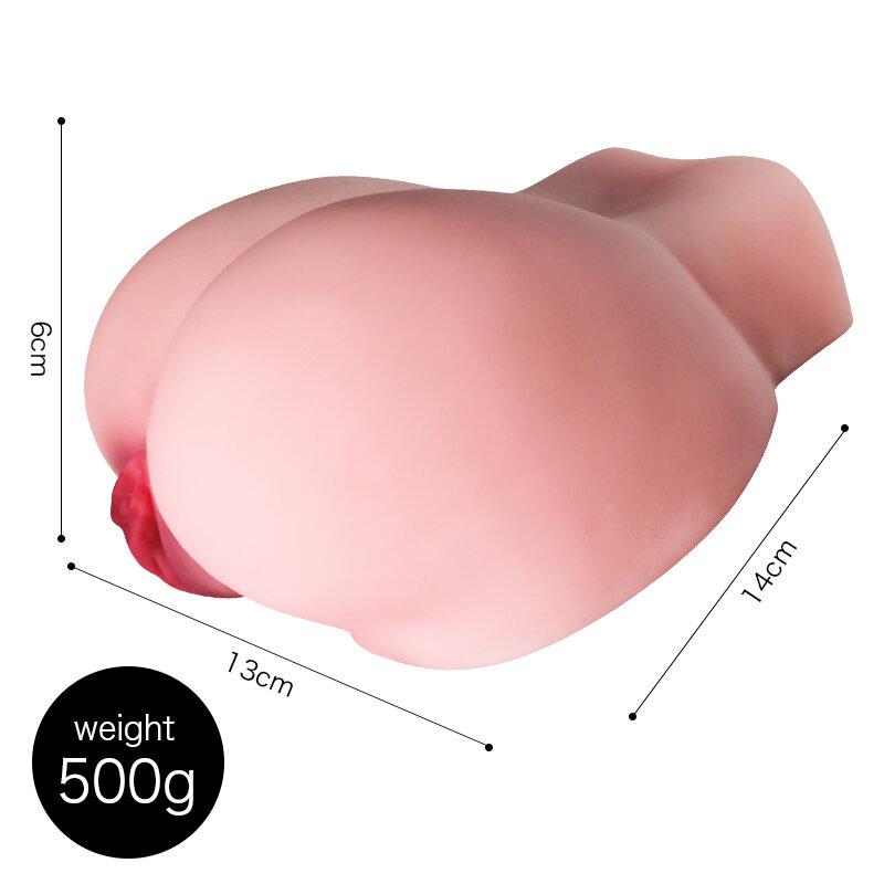Anatomical Wellness Model — Style 53