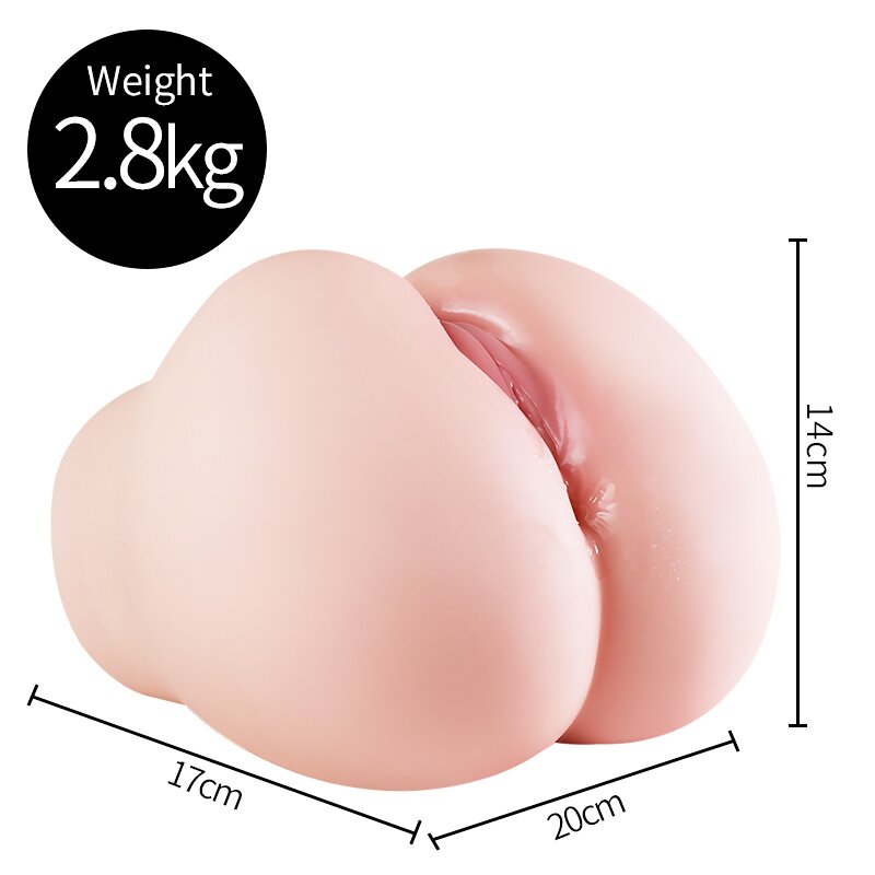 Anatomical Wellness Model — Style 105
