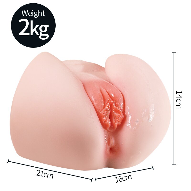 Anatomical Wellness Model — Style 140