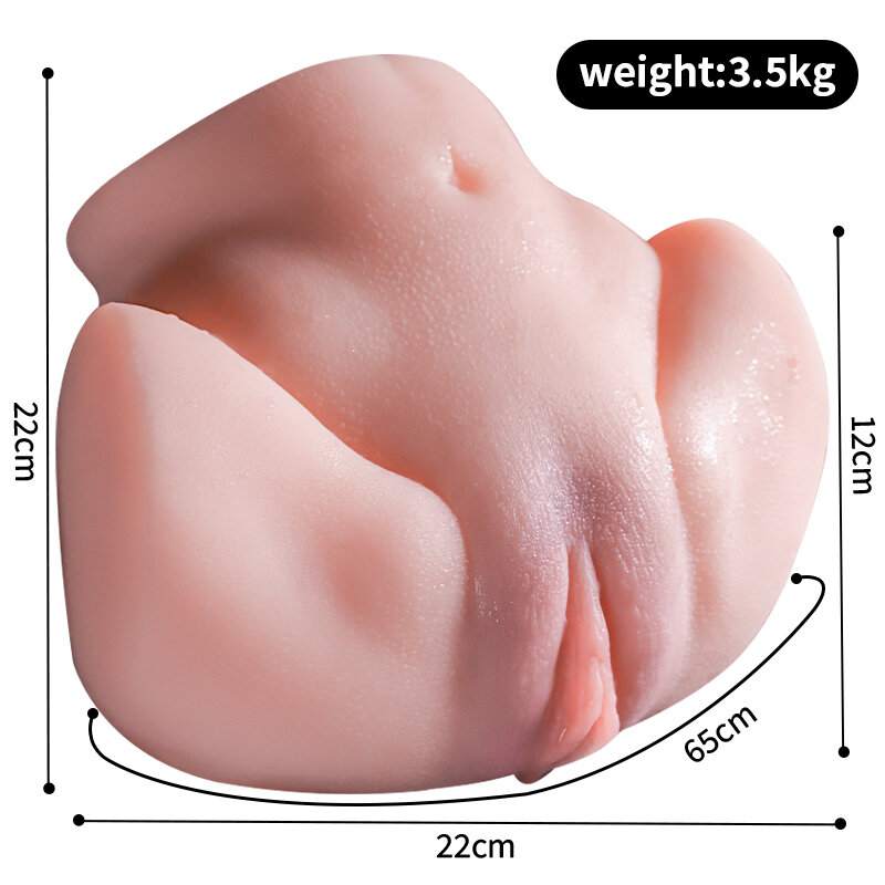 Anatomical Wellness Model — Style 222