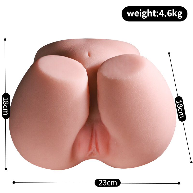 Anatomical Wellness Model — Style 224