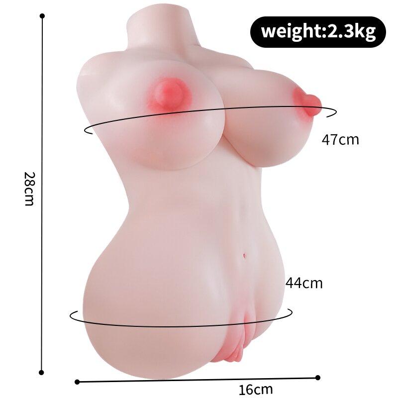 Anatomical Wellness Model — Style 244