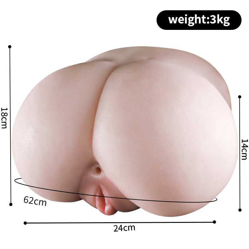 Anatomical Wellness Model — Style 245