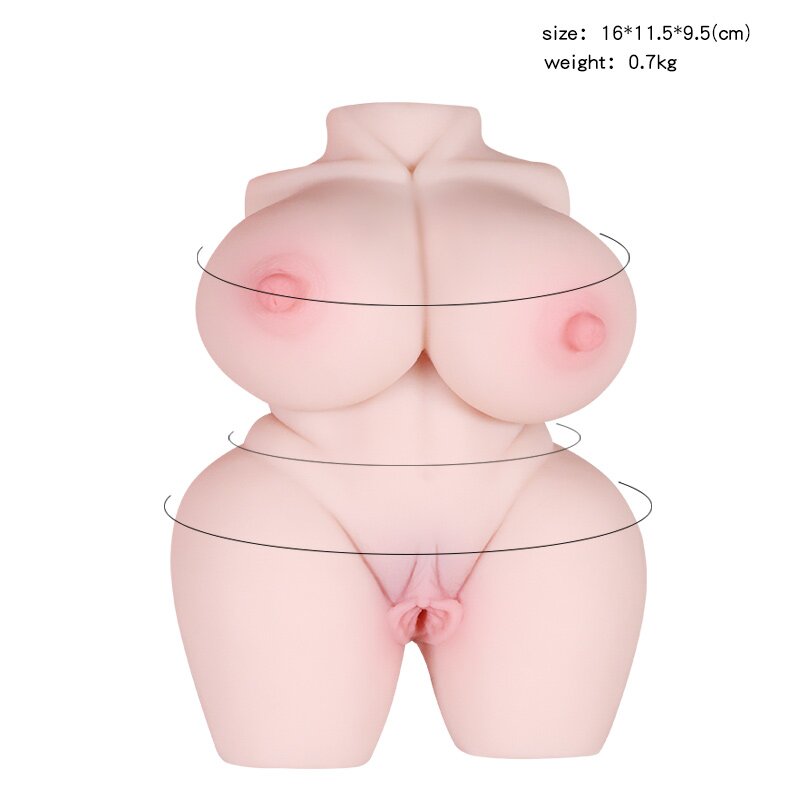 Anatomical Wellness Model — Style 247 — view 4