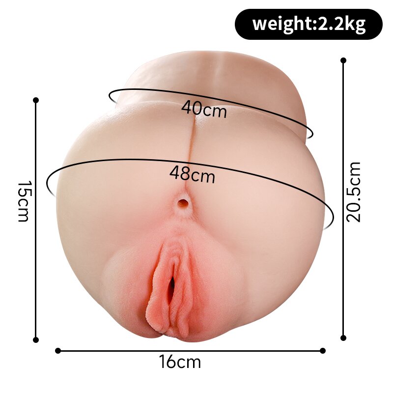 Anatomical Wellness Model — Style 258