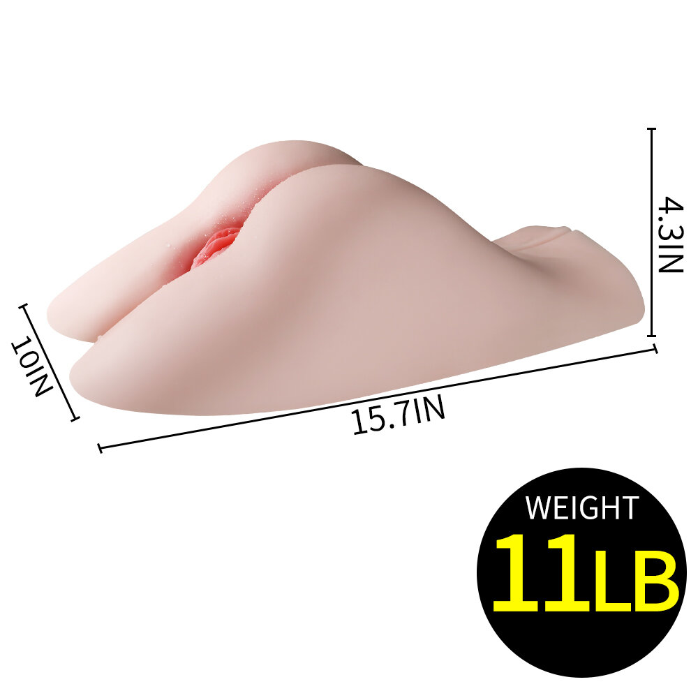 Anatomical Wellness Model — Style 330