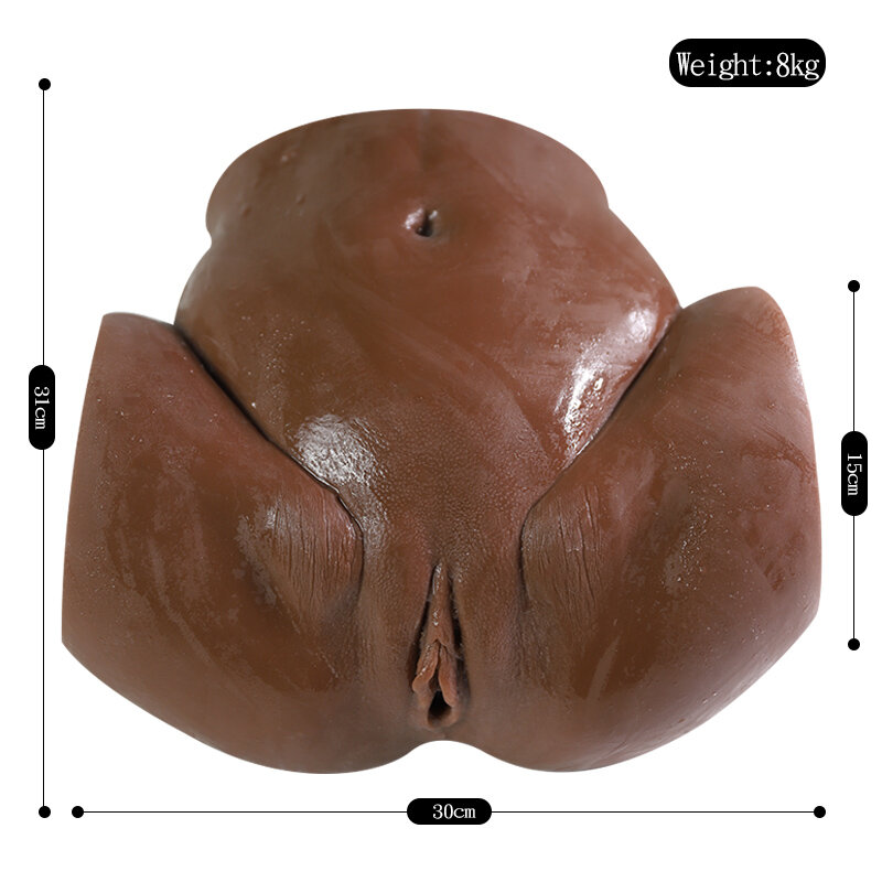 Anatomical Wellness Model — Style 341 — view 3