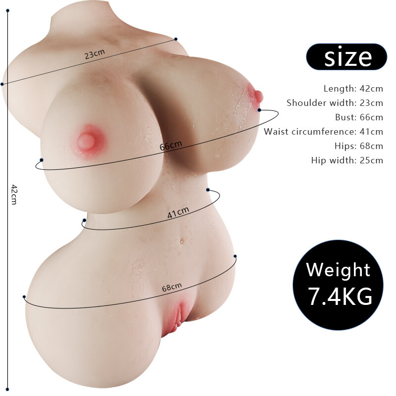 Anatomical Wellness Model — Style 343 — view 3